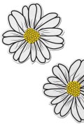 Tease™ Wildblume: weiß und gelb mit schwarz Blumen Nippel Pasties Einheitsgröße